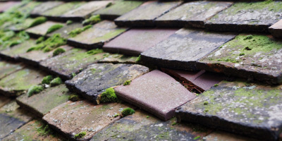 Little Horwood roof repair costs